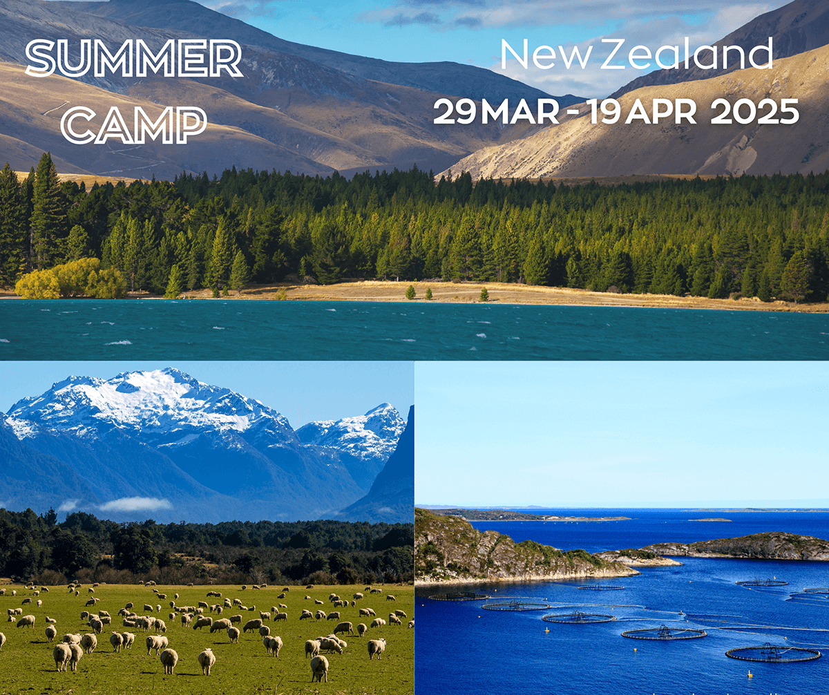 Auckland, New Zealand 29 มีนาคม - 19 เมษายน 2568 (3+ สัปดาห์)